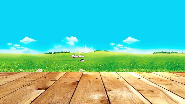 Martin Garrix collaborating with Ed Sheeran - Coachella Valley 2014 Interview - FUSE TV