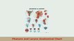 PDF  Pharynx and Larynx Anatomical Chart Free Books