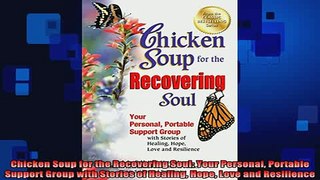 FREE EBOOK ONLINE  Chicken Soup for the Recovering Soul Your Personal Portable Support Group with Stories of Online Free