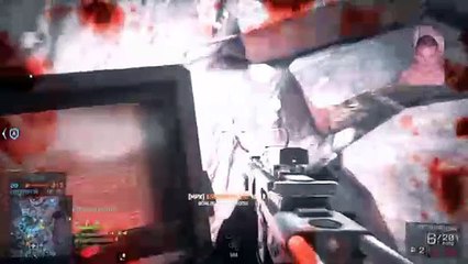 Road to 1000 Followers !!!! (5)