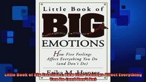 READ book  Little Book of Big Emotions How Five Feelings Affect Everything You Do and Dont Do Full Free