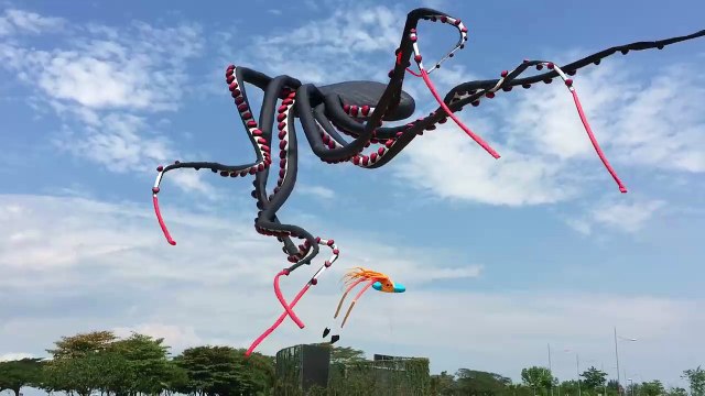 Воздушный змей-осьминог