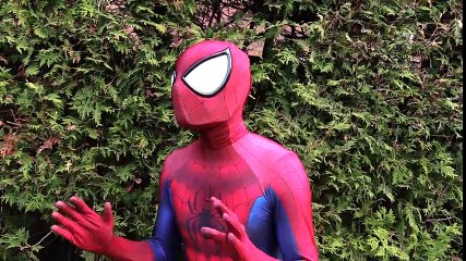 Spider-Man and Frozen Elsa BREAK UP! Real Life Superhero Movie - theSeanWardShow