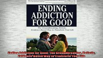 READ book  Ending Addiction for Good The Groundbreaking Holistic EvidenceBased Way to Transform Online Free