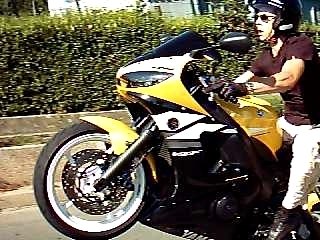 Ruff riders 2