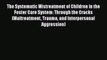 [PDF] The Systematic Mistreatment of Children in the Foster Care System: Through the Cracks