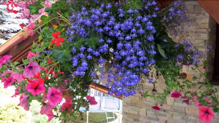 2015 du fleurissement Village de la Balme de Thuy