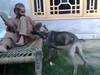 Pathan vs Dong - pashto funny dog prank - YouTube