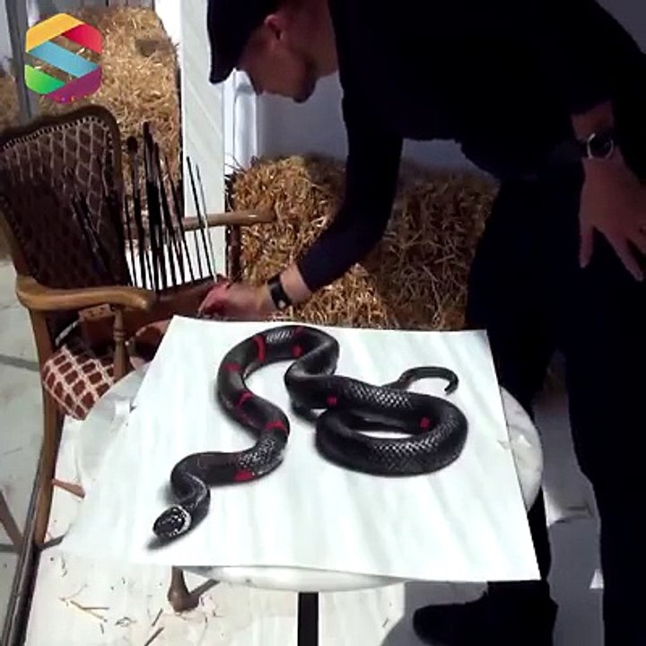 3rd art
