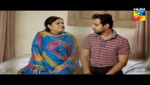Haya Ke Daman Mein Episode 36 Full Hum TV Drama 18 May 2016