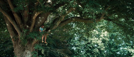 Séance du week-end !
