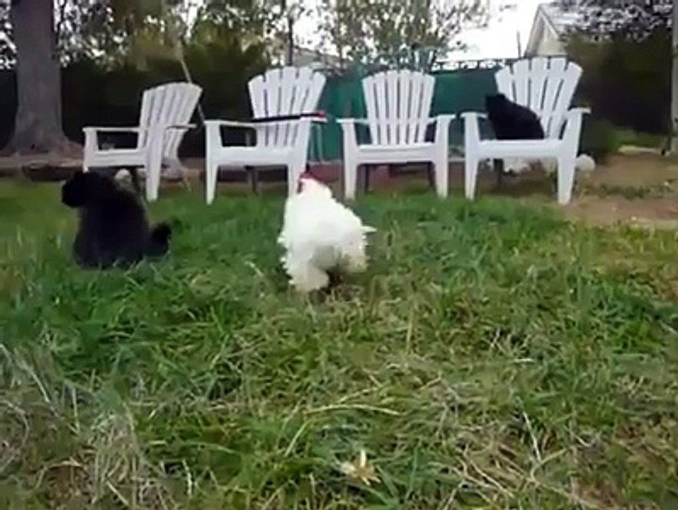 755493_430754530351539_187892697_n