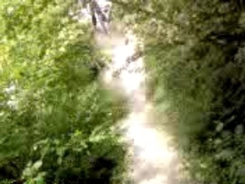 descente en vélo sans frein