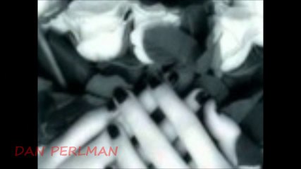 DAN PERLMAN   -   DON'T CRY MARIA