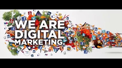 Best SEO Company India _  Will Guarantee 1st Page Placement Or Your Money Back!