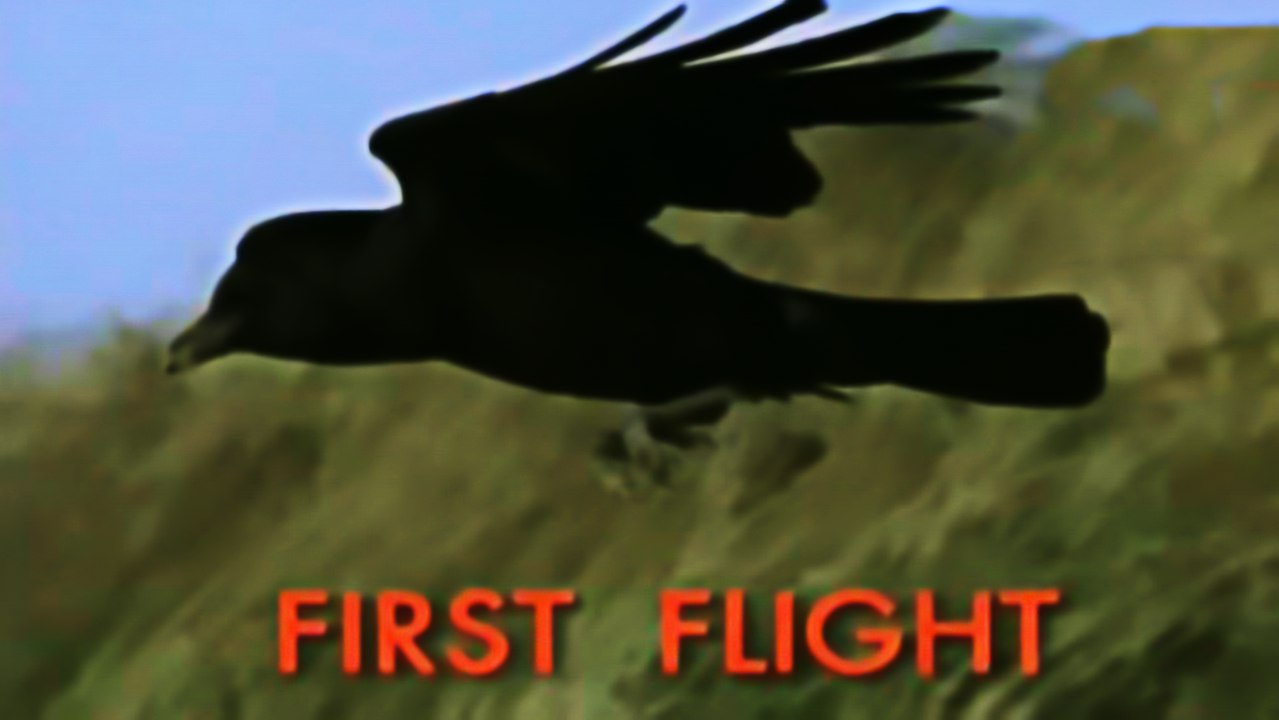 BBC Первый полет / First Flight / 2003