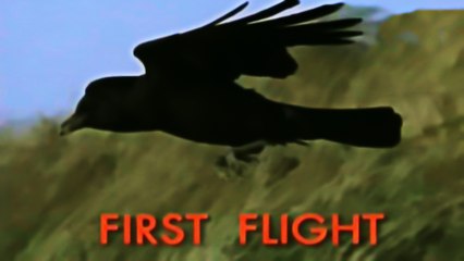BBC Первый полет / First Flight / 2003