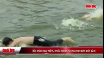 Bất chấp nguy hiểm, nhiều người rủ nhau bơi dưới biển cấm