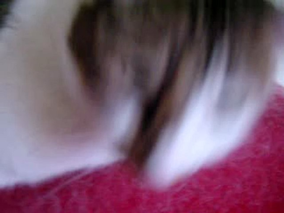 Tinka
