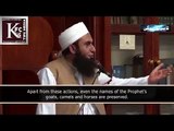 Even The Animal Died InThe Love Of Prophet Saw Death!!! - Moulana Tariq Jameel Short Clip