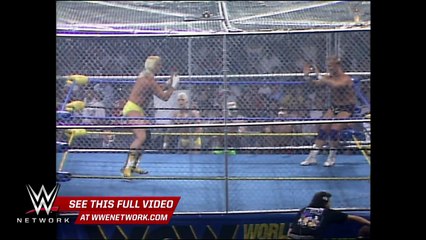 Stings Squadron vs. The Dangerous Alliance - WarGames Match: WCW WrestleWar 1992, on WWE Network