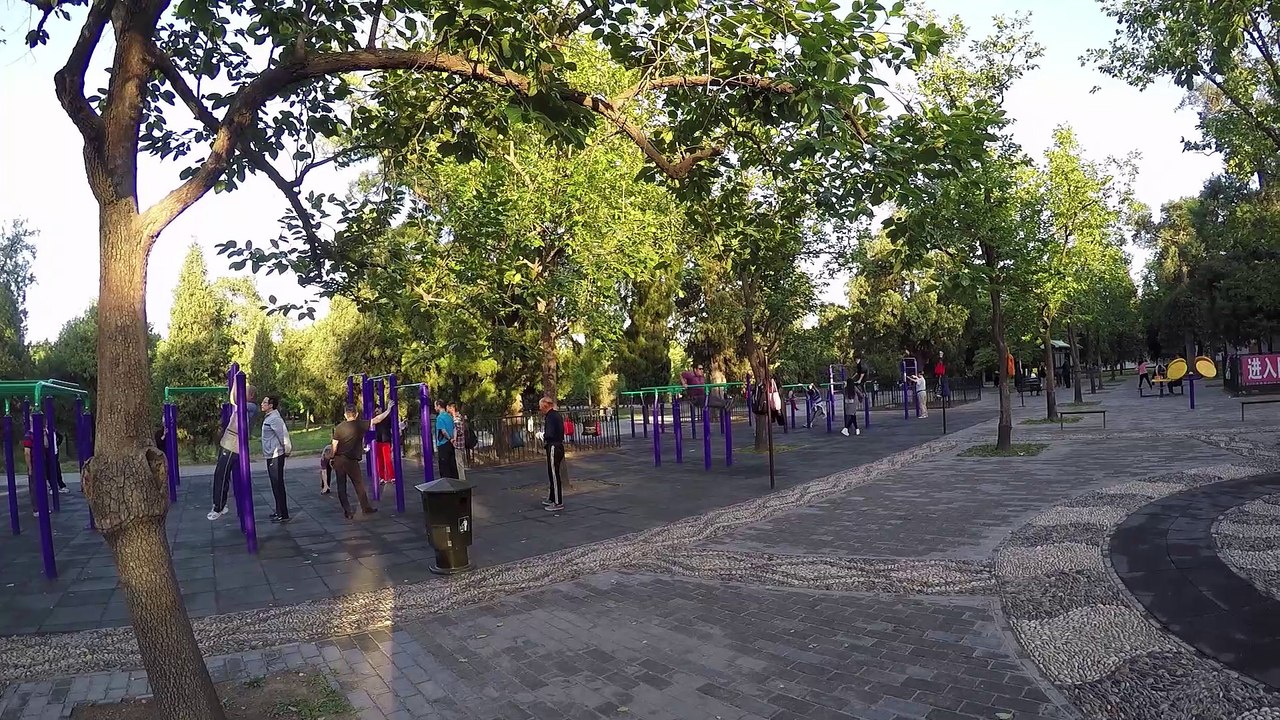 Dans le jardin du Palais du Ciel (Pékin)