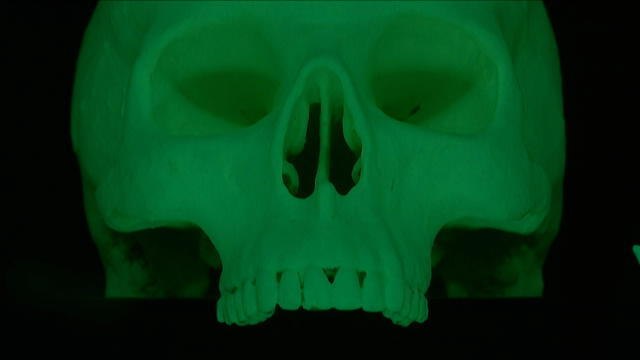 Parcours effrayant à l'Ecole des Beaux-Arts pour la Nuit des musées - Le 21/05/2016 à 14h00