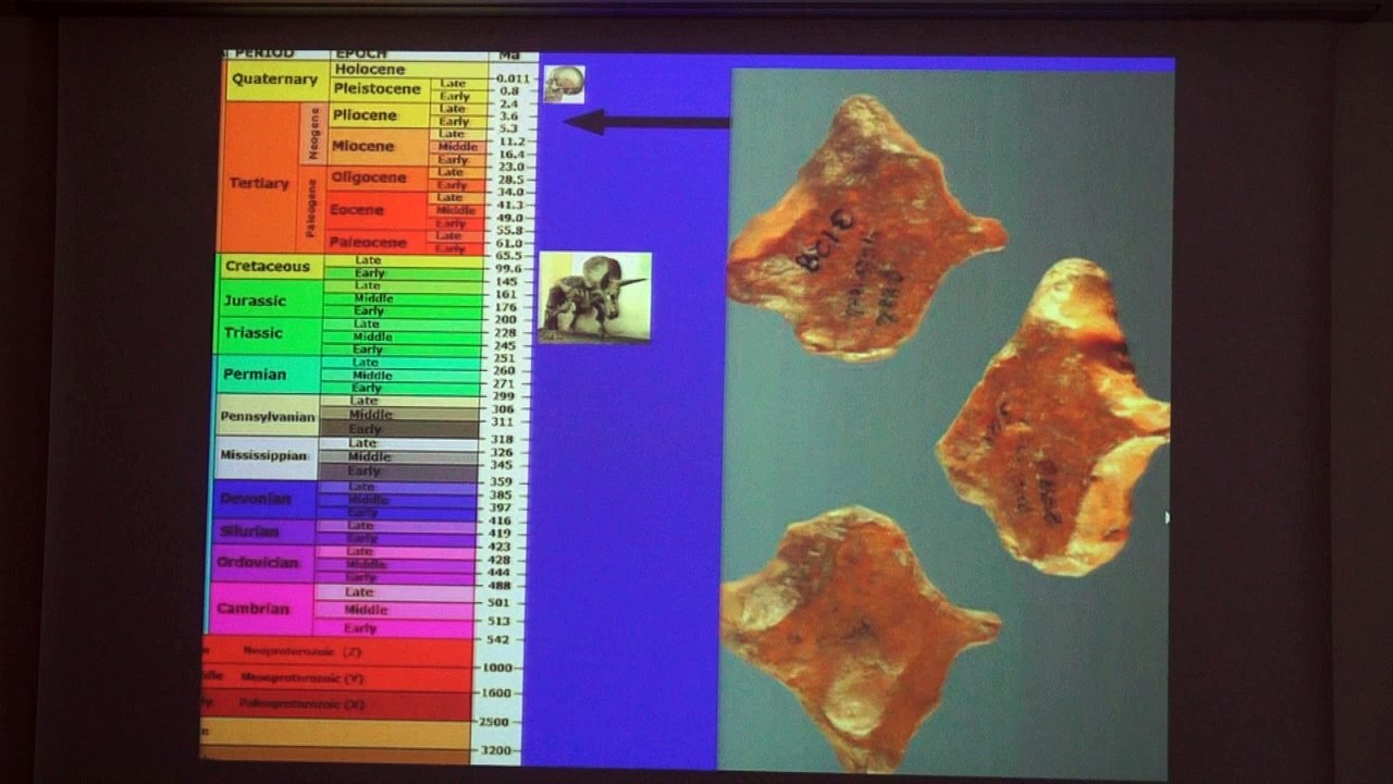 L'âge réel des dinosaures ou la préhistoire selon le Livre de Job - Thomas Seiler