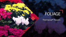 ThermaLeaf® Official Video | Fire Retardant Artificial Topiaries