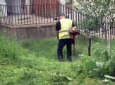 Do kraja maja biće završeno košenje, 20. maj 2016. (RTV Bor)