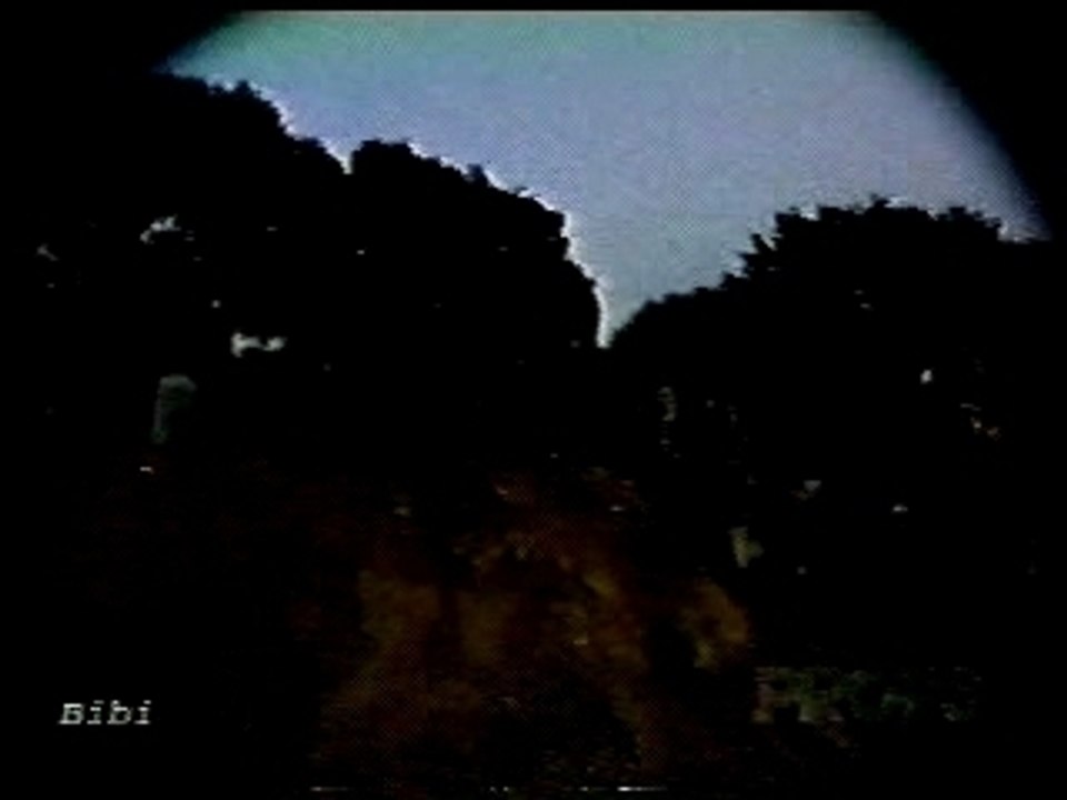 Bmx - mad street & dirt tricks clip