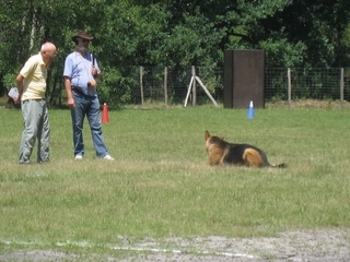 sport canin