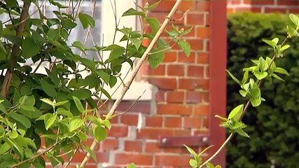 Opnieuw woning gesloopt in aardbevingsgebied - RTV Noord