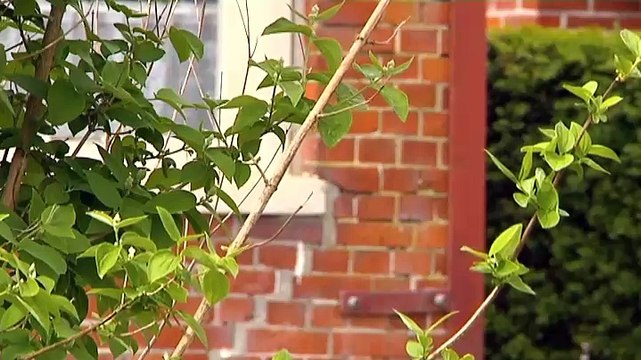 Opnieuw woning gesloopt in aardbevingsgebied - RTV Noord