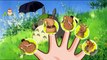 Elephants Peppa Pig  Family Finger \ Nursery Rhymes Lyrics More And Daddy finger