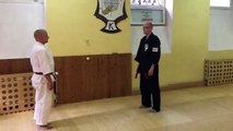 Kenpo-Karate Self-Defense Technique Raking Mace