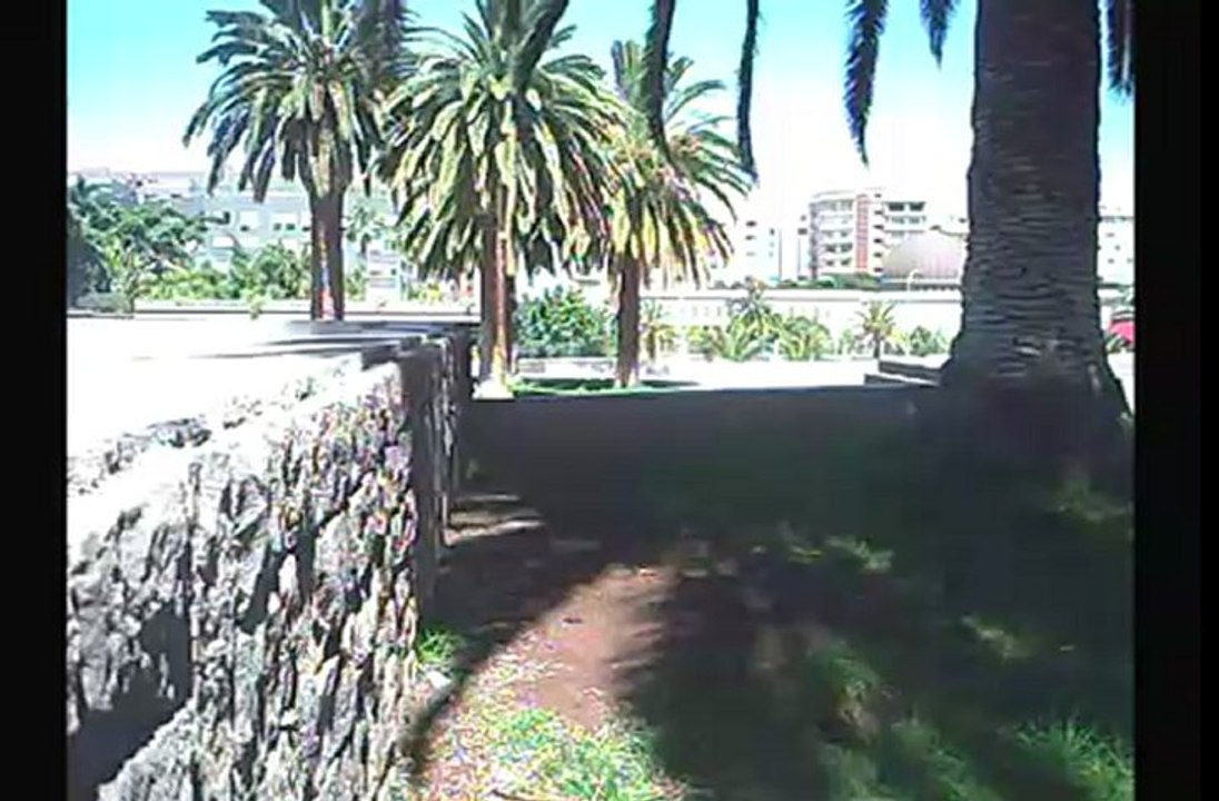 Regik tomas sueltas