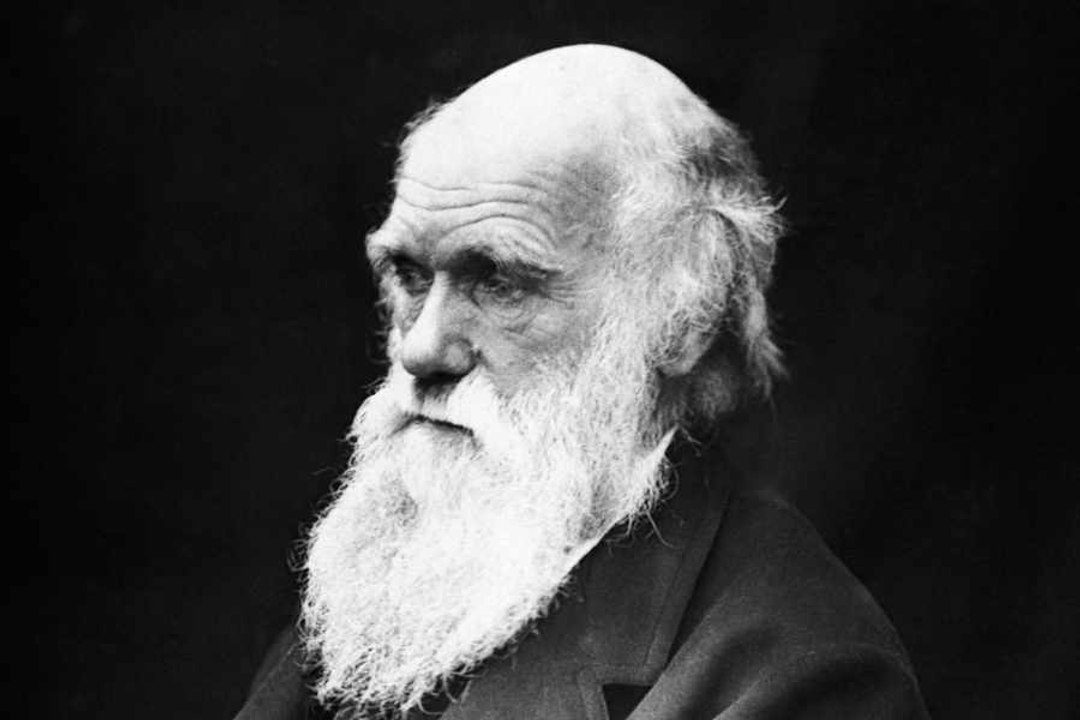 Charles Darwin e a Árvore da Vida