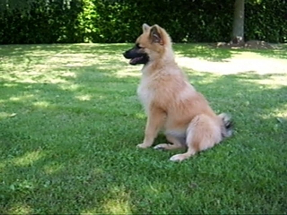louna
