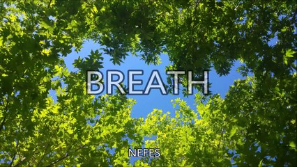 Blue Marble-Short Movie