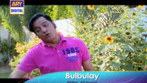 Bulbulay Ep  400- ARY Digital