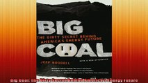 READ book  Big Coal The Dirty Secret Behind Americas Energy Future  FREE BOOOK ONLINE