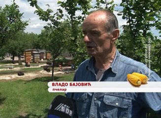 Selo moje, 22. maj 2016. (RTV Bor)