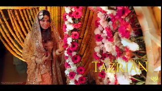 ALi & Tazri Holud Trailer - Cinewedding By - Bangladesh - New