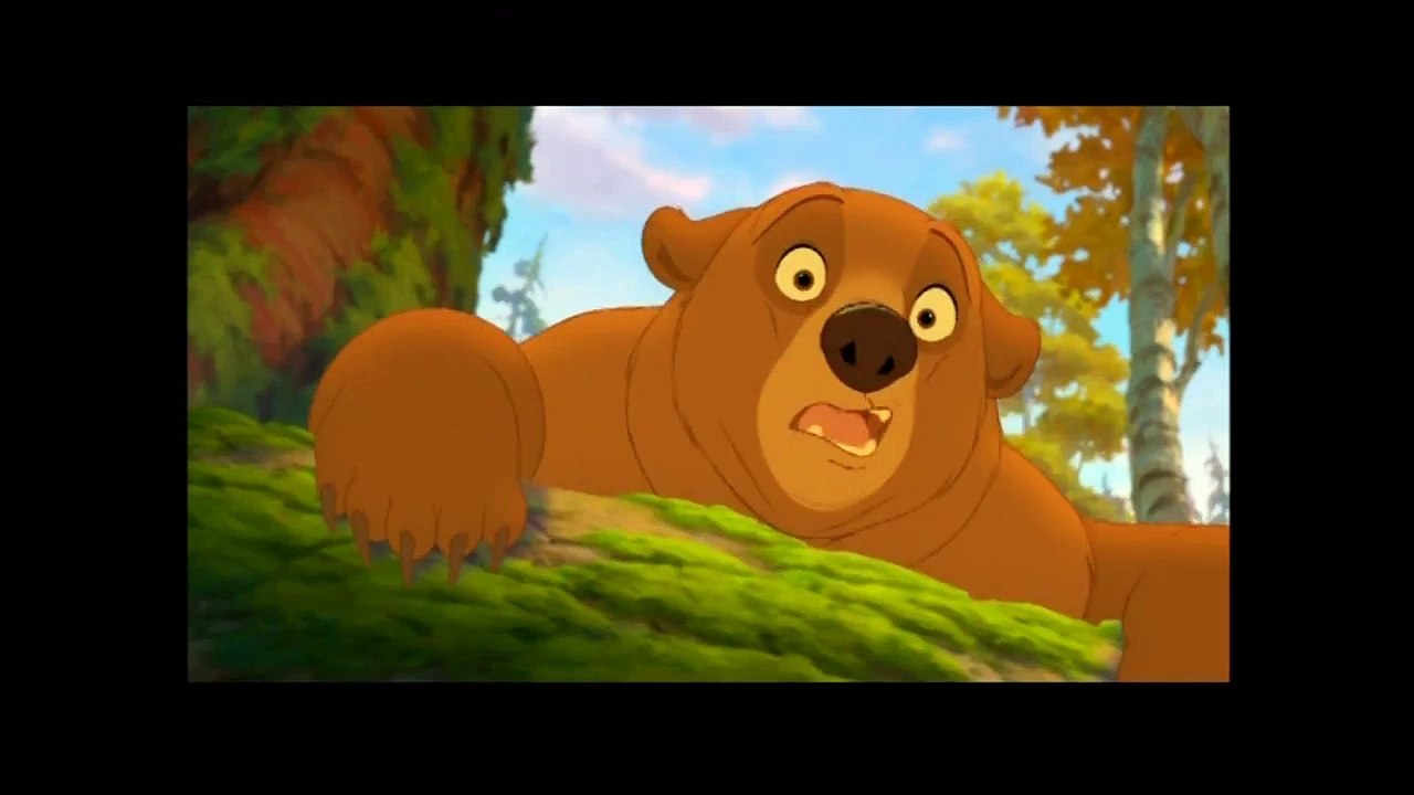 Opening To The Lion King 2003 DVD