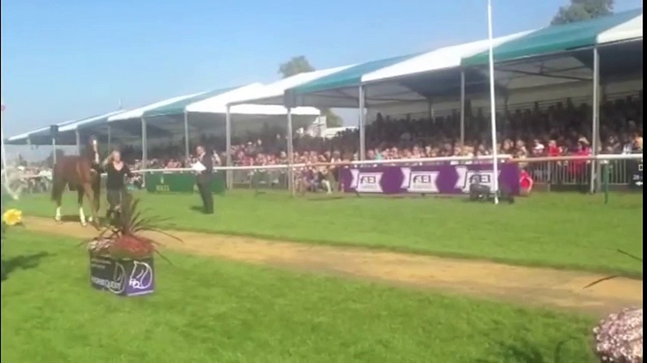 Roo Fox (Fleet Street) - Final vets inspection