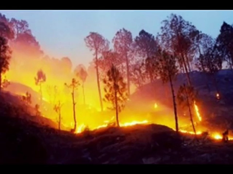 Uttrakhand Disaster