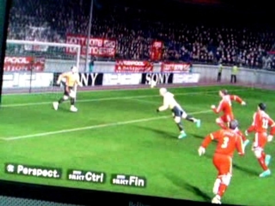 Tete plongeante de ljunjberg