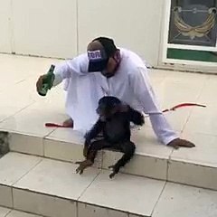 sharabi bander very funny