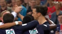 Zlatan Ibrahimovic 2nd Goal HD - Olympique Marseille 1-4 PSG 21.05.2016